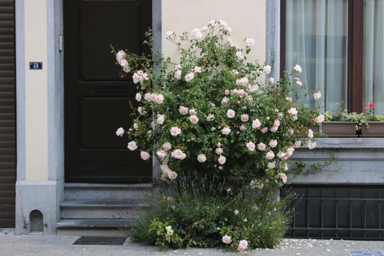 B&B Les Iris Bruselas Exterior foto